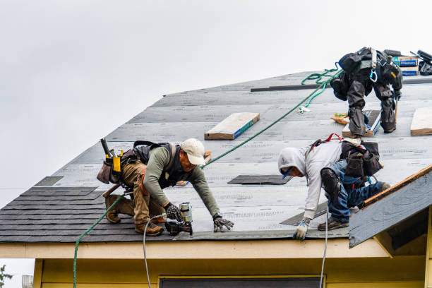 Professional Storm Damage Roof Repair technician working in Burnett, WI